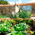 Casa Letras -