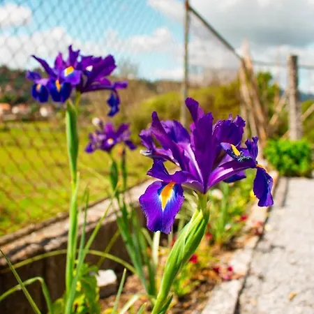 Casa rural Casa Letras -