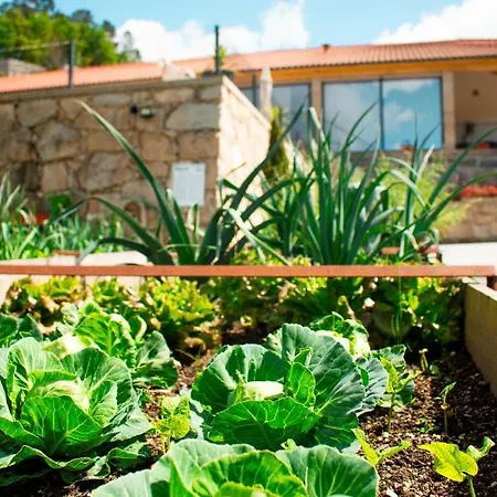 Casa Letras -