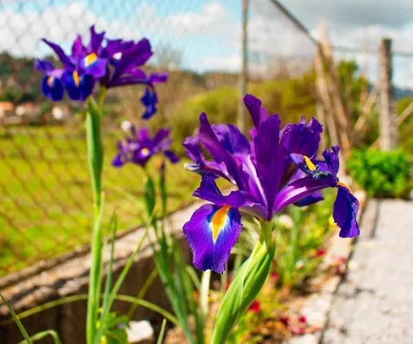 컨트리하우스 Casa Letras -